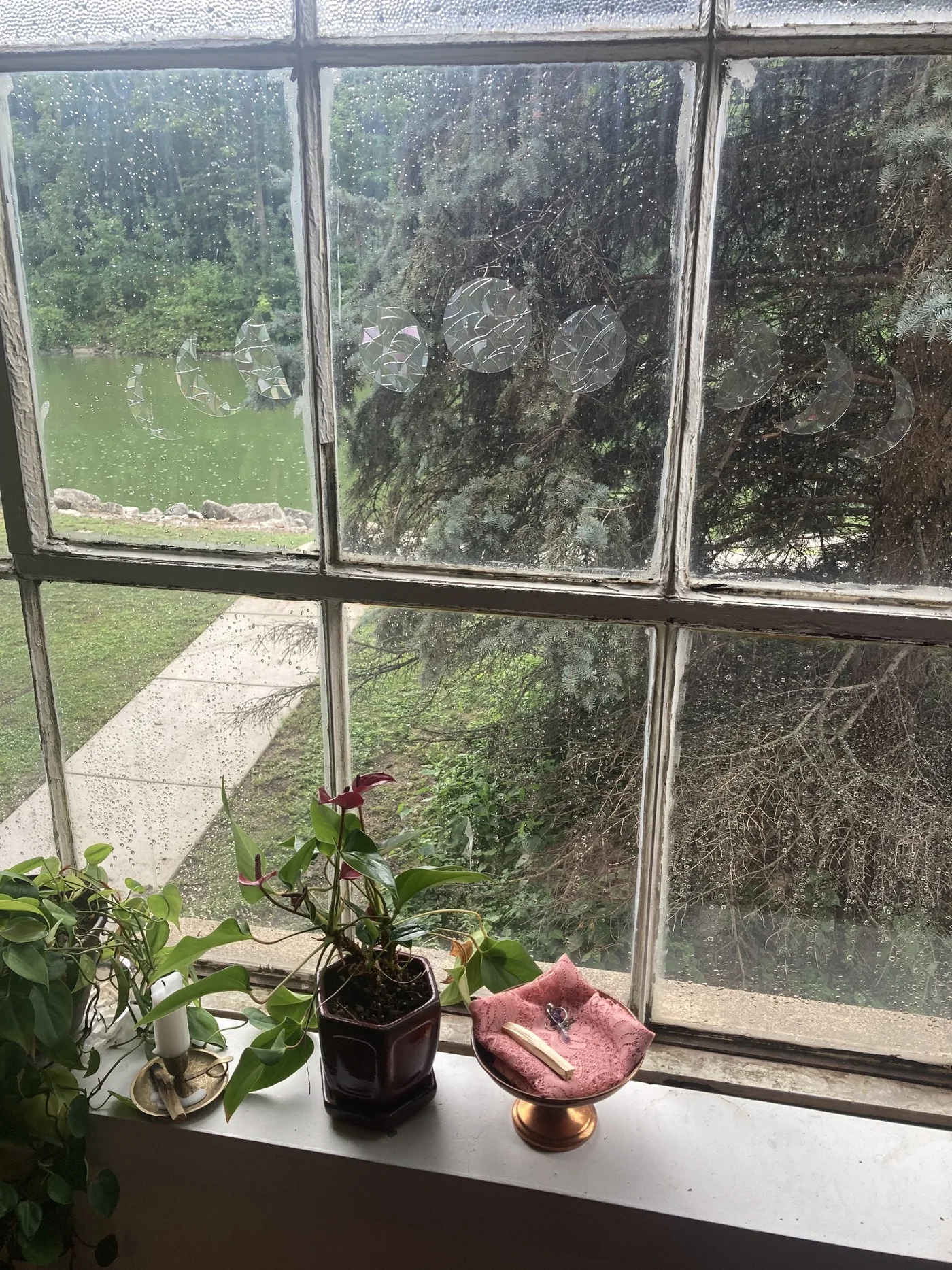 Quiet Ramaste space with plants and warm window light