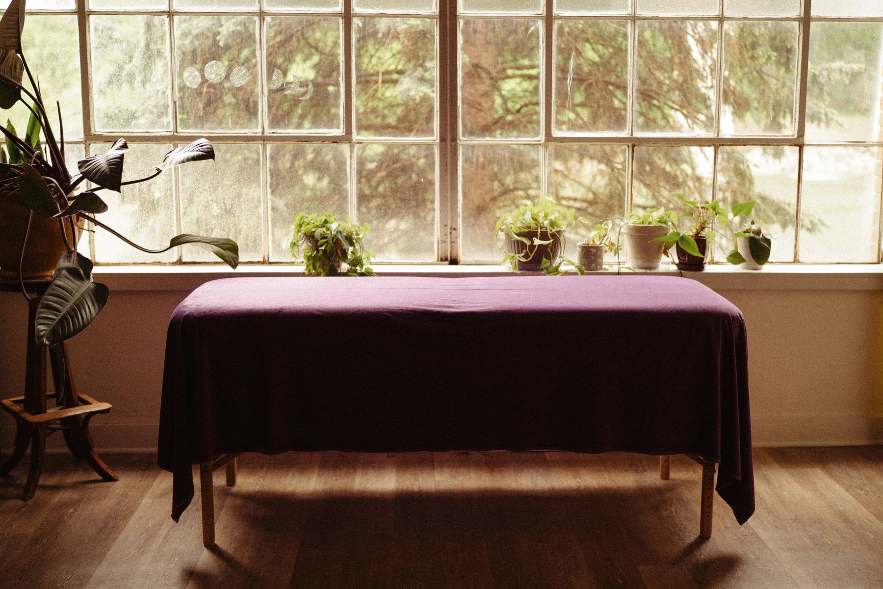 Reiki for People at Ramaste, Appleton WI Reiki healing table draped in violet cloth with plants in natural light at Ramaste studio in Appleton, WI—a calm, grounded space for energy work.